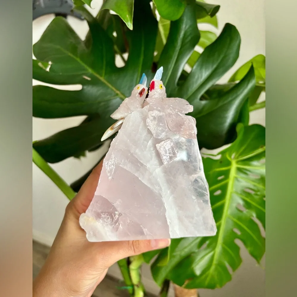 Parrot Carvings on Rose Quartz